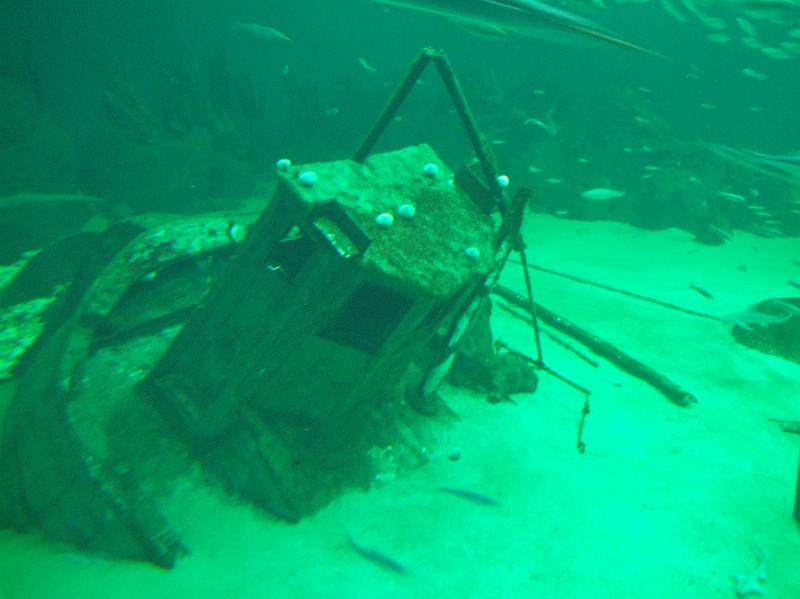 Sofia i  Oceaniariet 028.jpg